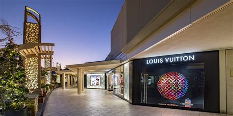 louis vuitton downtown|louis vuitton store jacksonville fl.